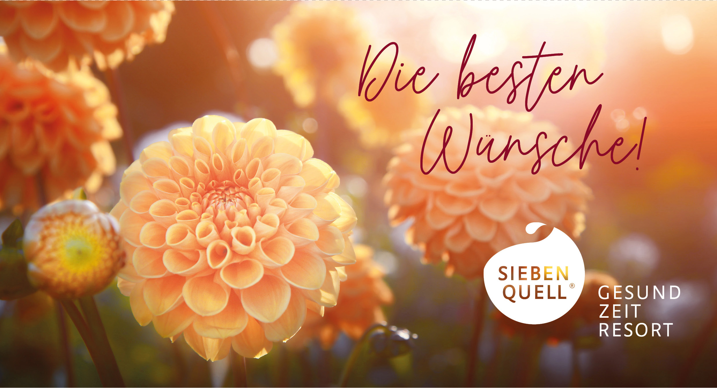 Design: Die besten Wünsche